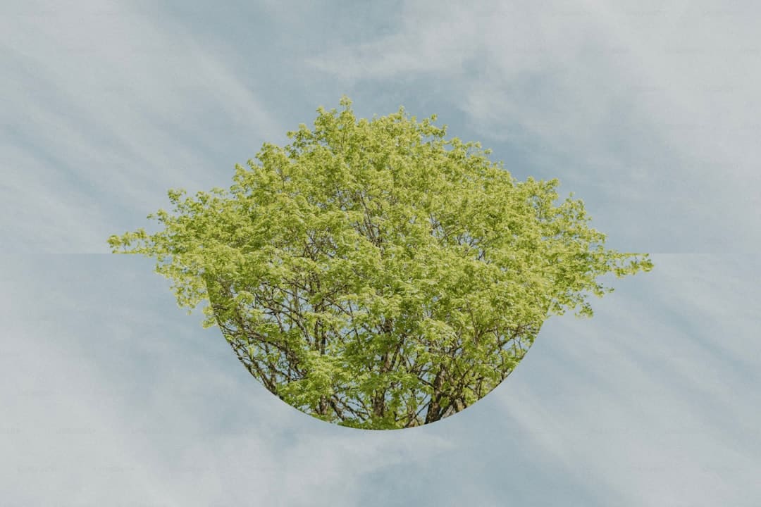 闫妮说忘了关晓彤姓啥 闫妮“微醺状态”再现江湖